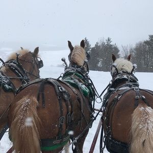 Meet your Posher, Irina